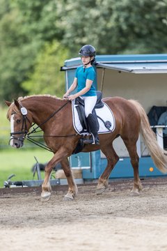 Bild 11 - Pony Akademie Turnier